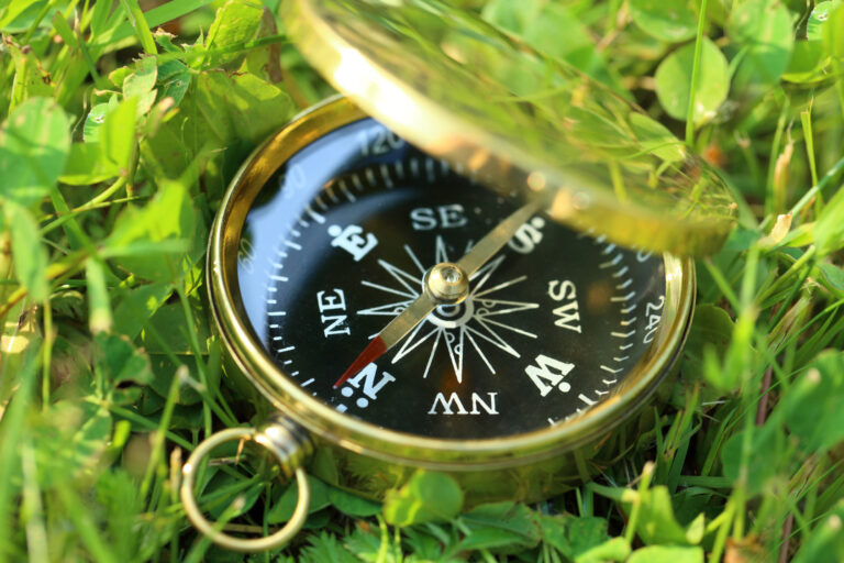 Goldener Kompass im Gras